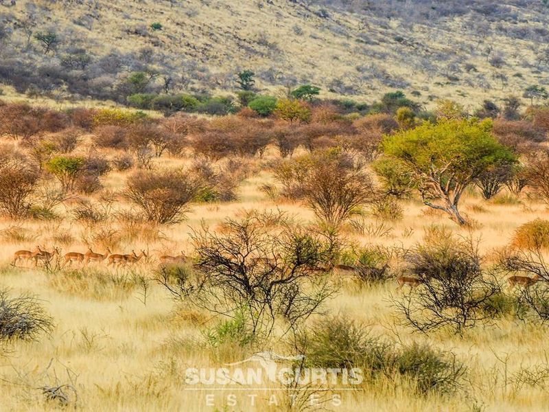 AGRICULTURAL AND GAME FARM - Photo 9