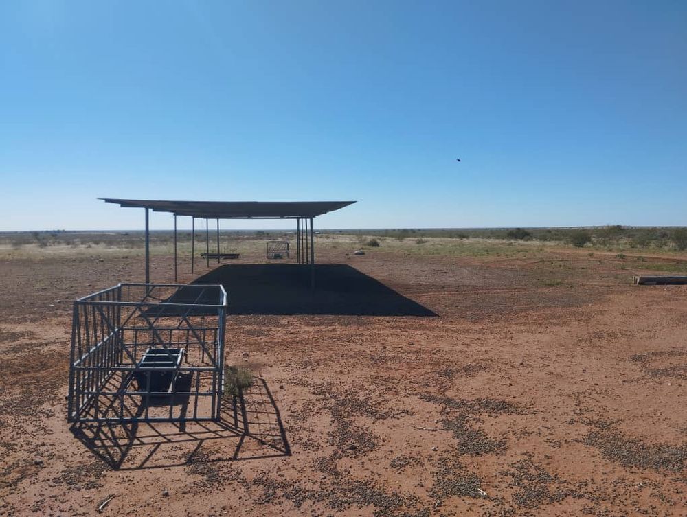 Shaded Area for Livestock