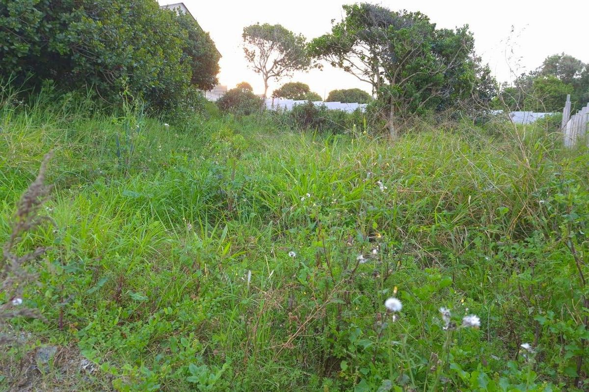 A view of the vacant residential plot featuring overgrown grass and mature trees, indicating a need for site clearing and landscaping.