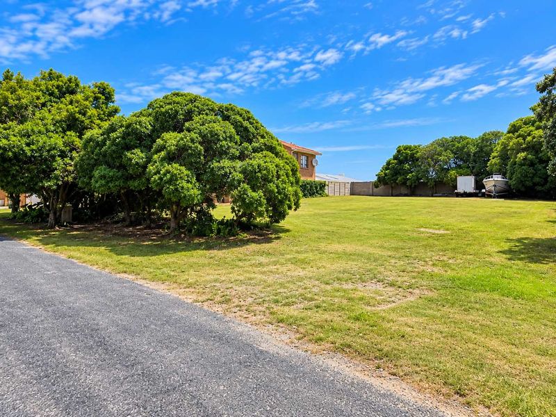 A spacious vacant residential plot featuring established trees, boundary walling, and direct access to a paved road.
