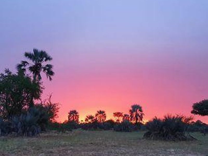 Own a Profitable Game farm in Scenic Grootfontein! - Photo 9