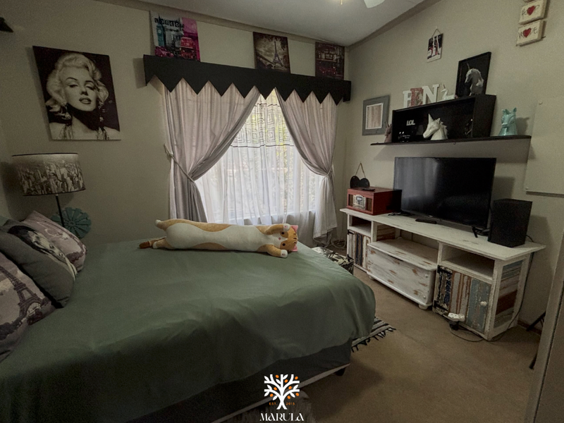 A standard bedroom featuring carpeted flooring, a ceiling fan, and a window with decorative valance.