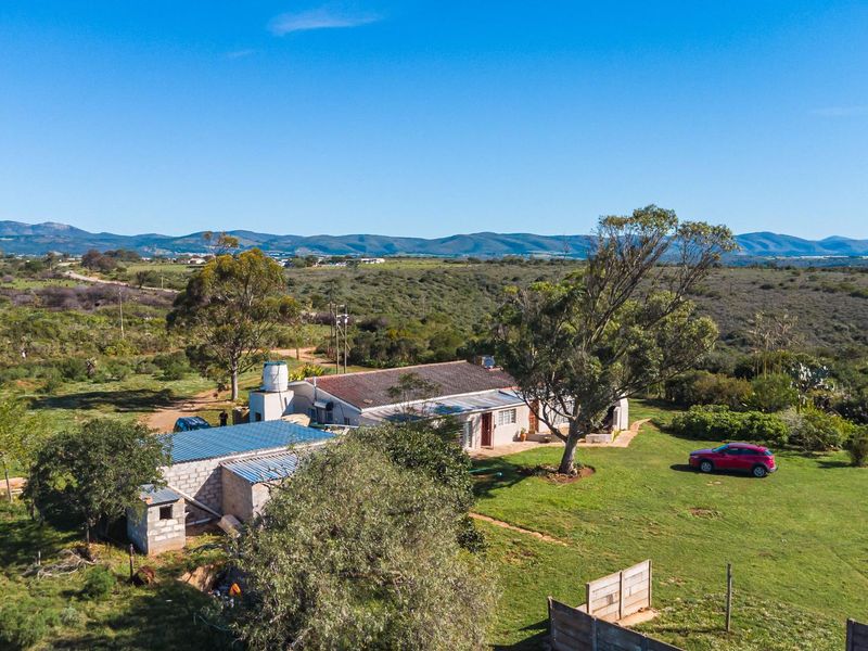 Fertile Soil & Endless Views – An Agricultural Dream Near Uitenhage. - Photo 3