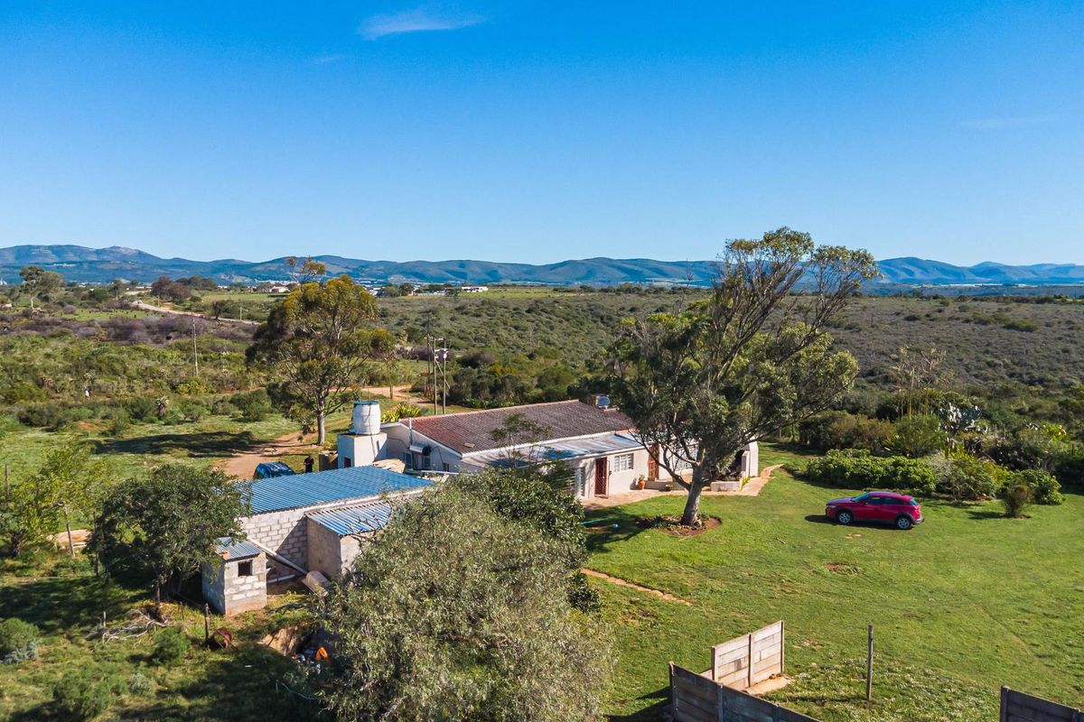Fertile Soil & Endless Views – An Agricultural Dream Near Uitenhage. - Photo 3