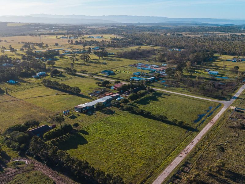 Rare Income-Generating Lifestyle Smallholding:2 Homes & Business Potential – Rendallton, Near Gqeberha - Photo 8