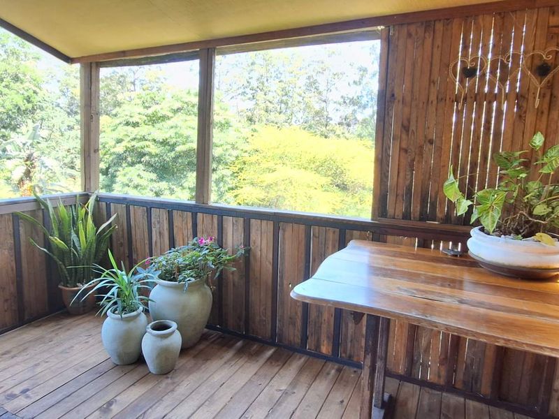 A covered timber patio featuring natural wood decking and wall cladding, offering an open-air space with views of the surrounding garden.