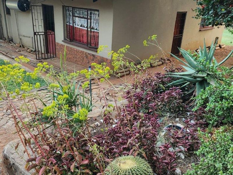 PLOT WITH TWO HOUSES AND FLAT FOR SALE-GROENKLOOF MOOINOOI - Photo 5