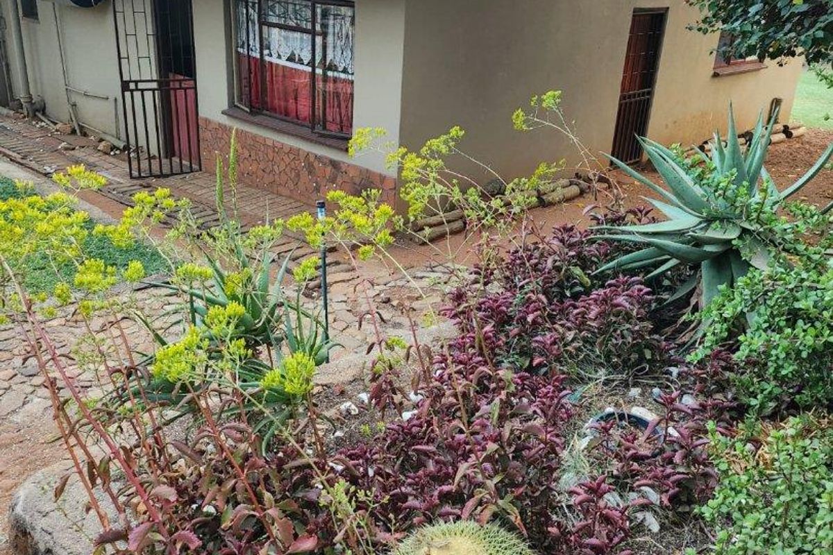 PLOT WITH TWO HOUSES AND FLAT FOR SALE-GROENKLOOF MOOINOOI - Photo 5