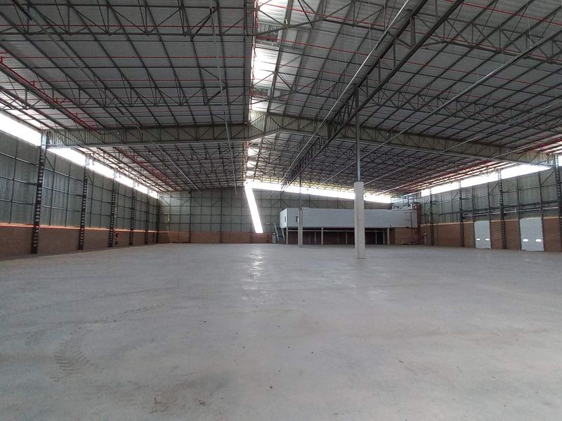 Expansive industrial warehouse space featuring high-clearance steel roof trusses, polished concrete flooring, integrated fire sprinkler systems, and multiple roller shutter access doors.