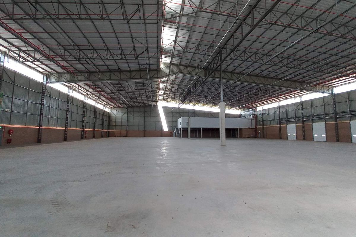Expansive industrial warehouse space featuring high-clearance steel roof trusses, polished concrete flooring, integrated fire sprinkler systems, and multiple roller shutter access doors.