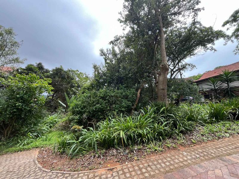 Vacant Land for Sale in Zimbali – 1,252sqm of Prime Coastal Living - Photo 4