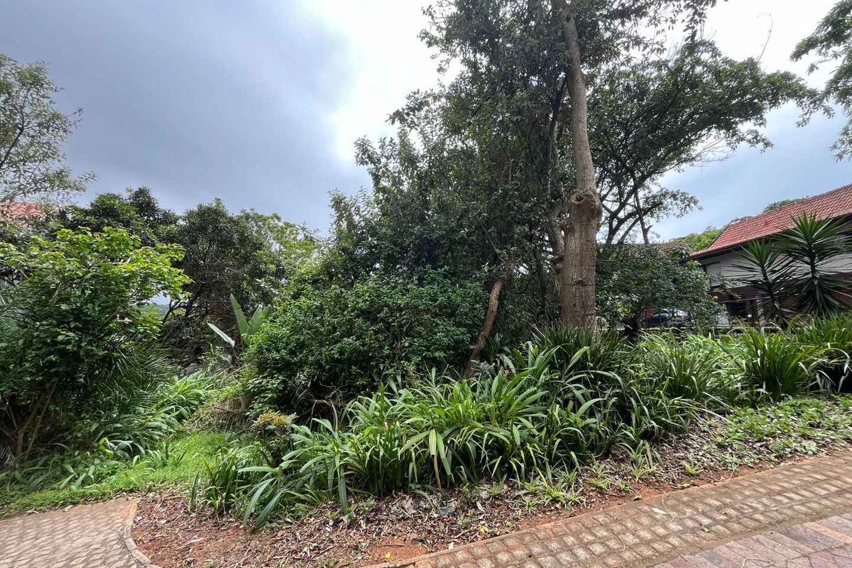 Vacant Land for Sale in Zimbali – 1,252sqm of Prime Coastal Living - Photo 4