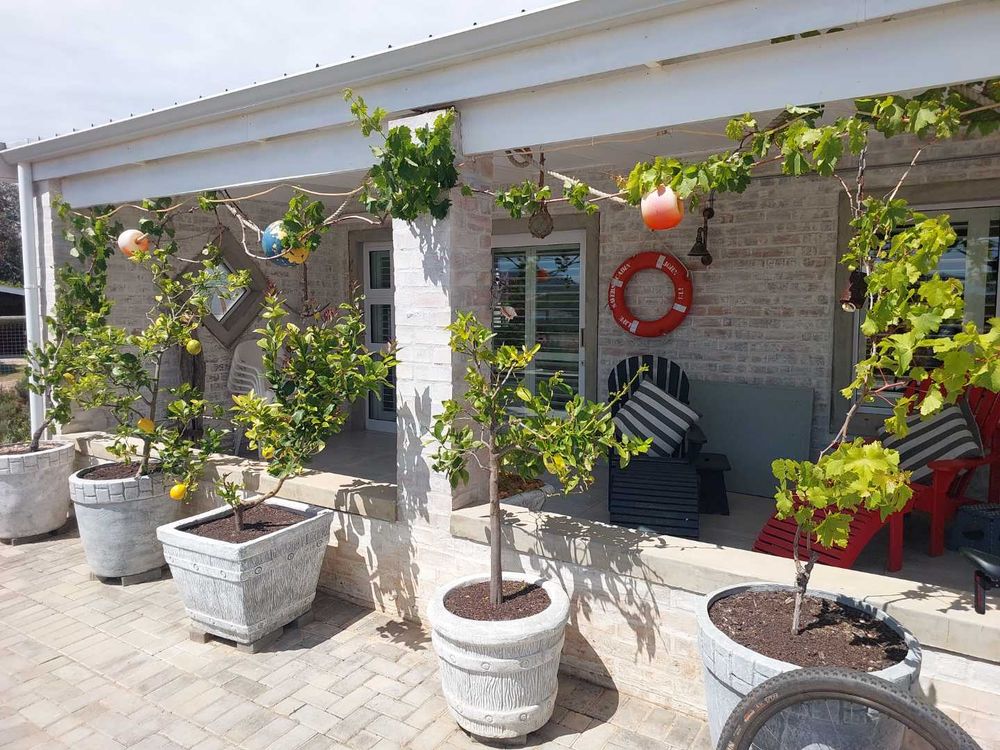North facing verandah, sunny in winter shady in summer