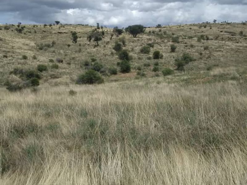 A view of the expansive, undeveloped residential land featuring natural grass terrain and rolling hills under a cloudy sky.