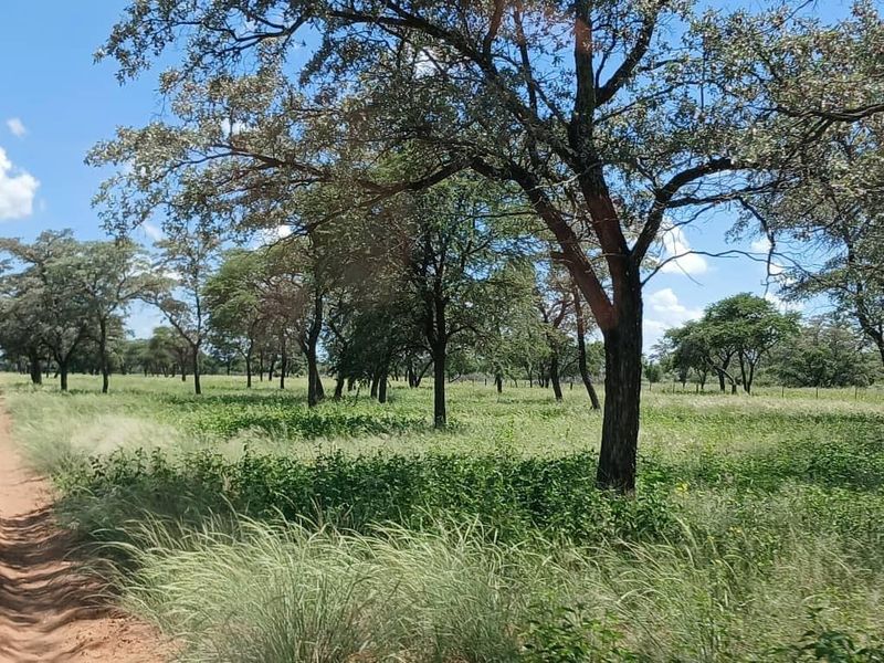 Beautiful Farm for sale in Namibia - Photo 6