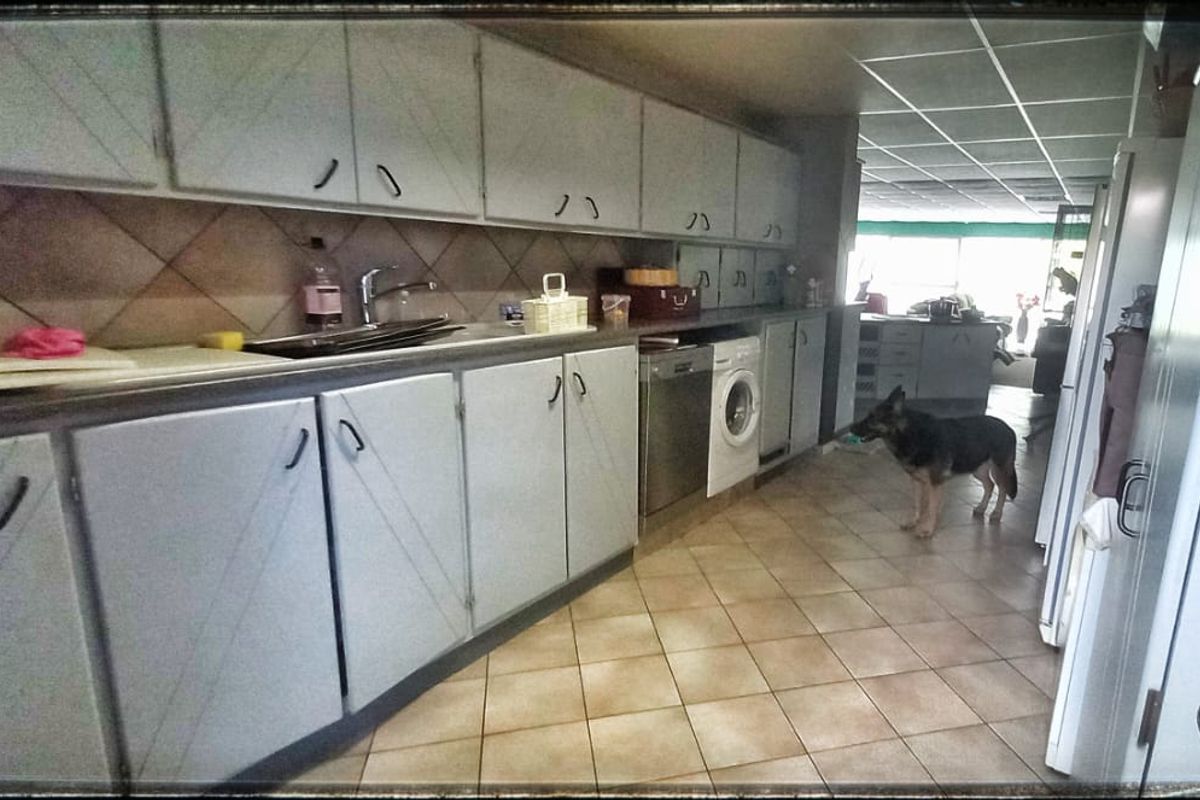 A functional kitchen featuring extensive cabinetry, tiled flooring, and integrated laundry appliances, offering a practical layout with potential for modernization.