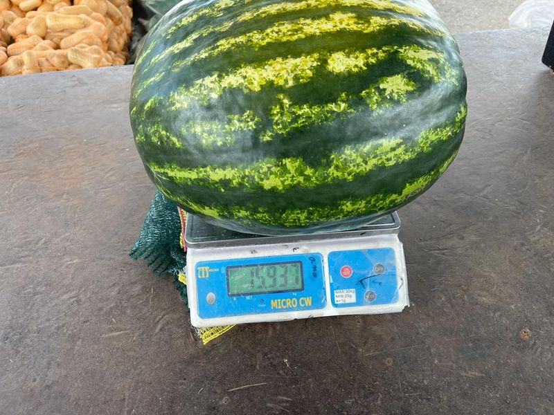 Exceptional Agricultural Estate with Off-Grid Solar Plant and All-Inclusive Goods - Photo 8