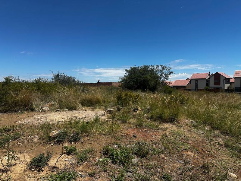 Prime Vacant Land Opportunity in Wild Olive Estate - Photo 3