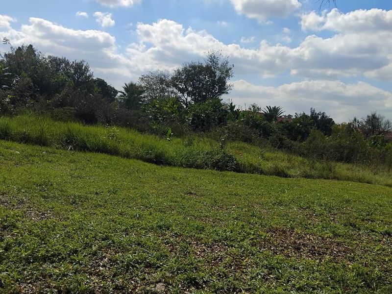 Large vacant land available for sale. - Photo 7