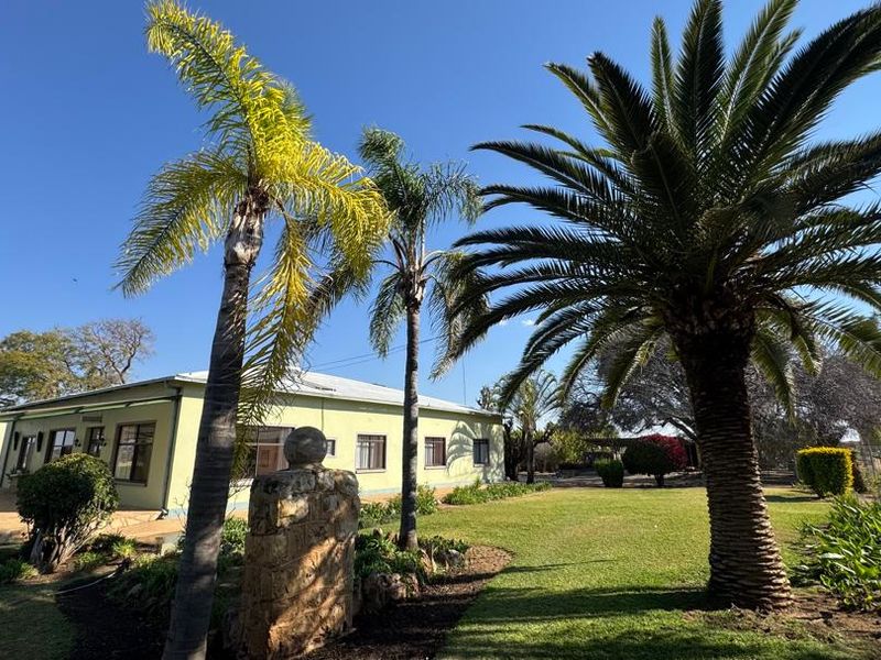 A view of the rear exterior of the farmhouse featuring a covered patio, well-maintained lawn, and mature palm trees in a spacious garden setting.