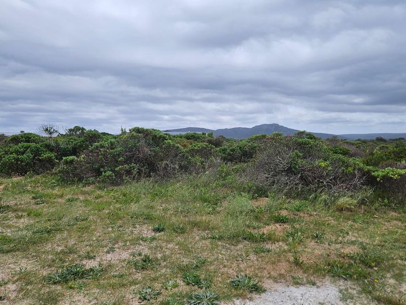 Prime Development Opportunity in Pearly Beach - Photo 7