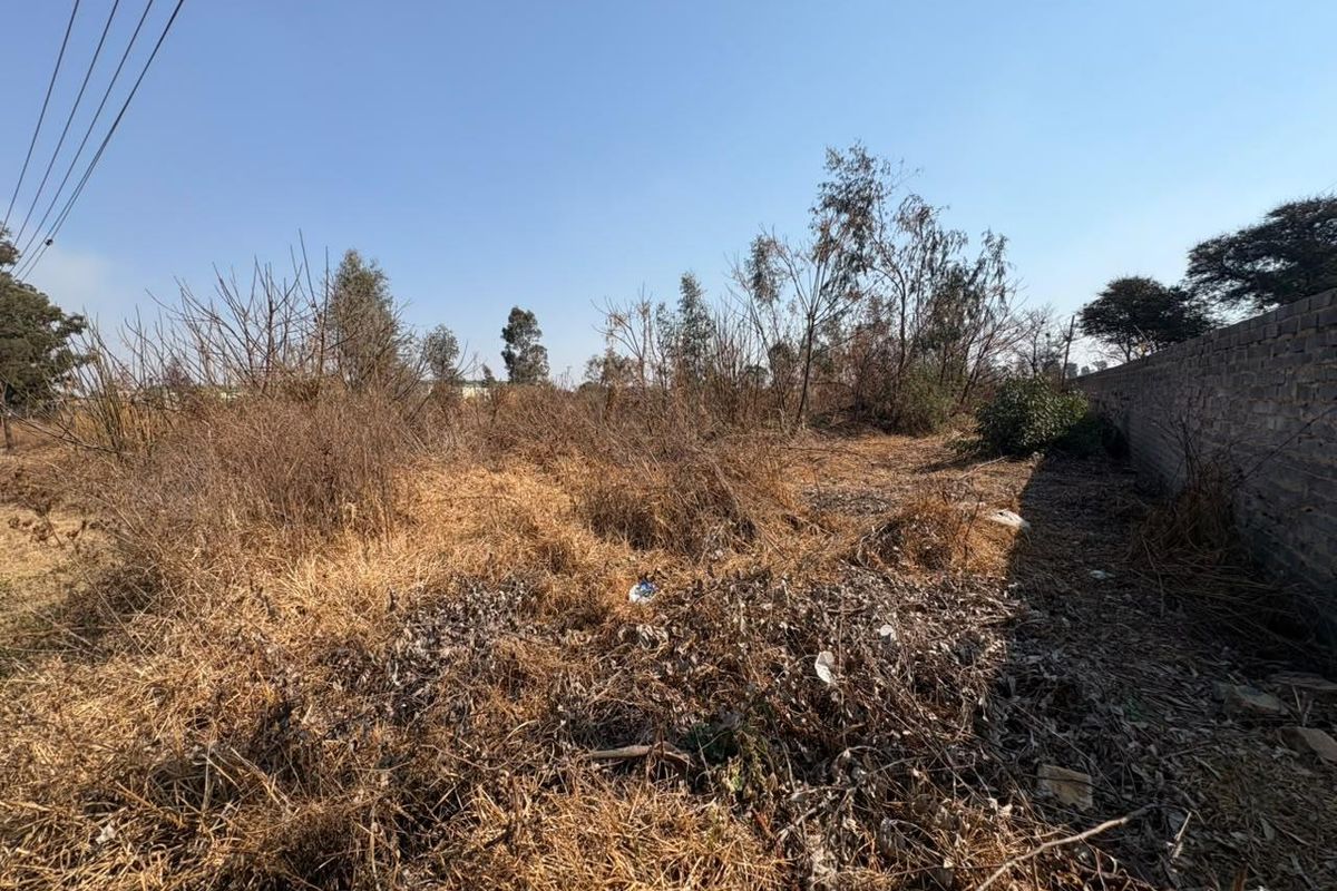 A view of the vacant commercial land featuring a brick boundary wall and overgrown vegetation under clear sky conditions.