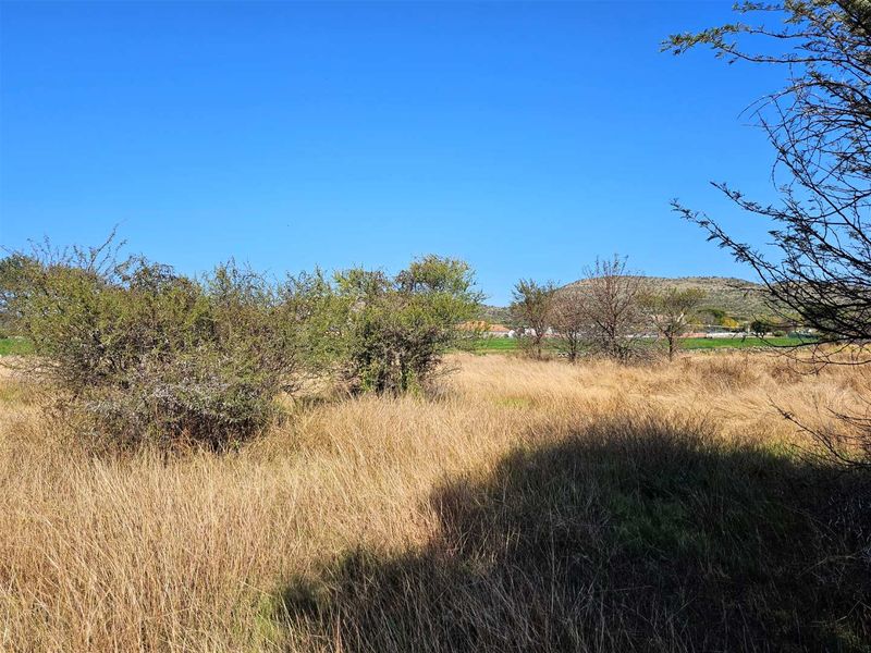 800sqm Vacant Stand In Landsmeer Equestrian Estate - Photo 10