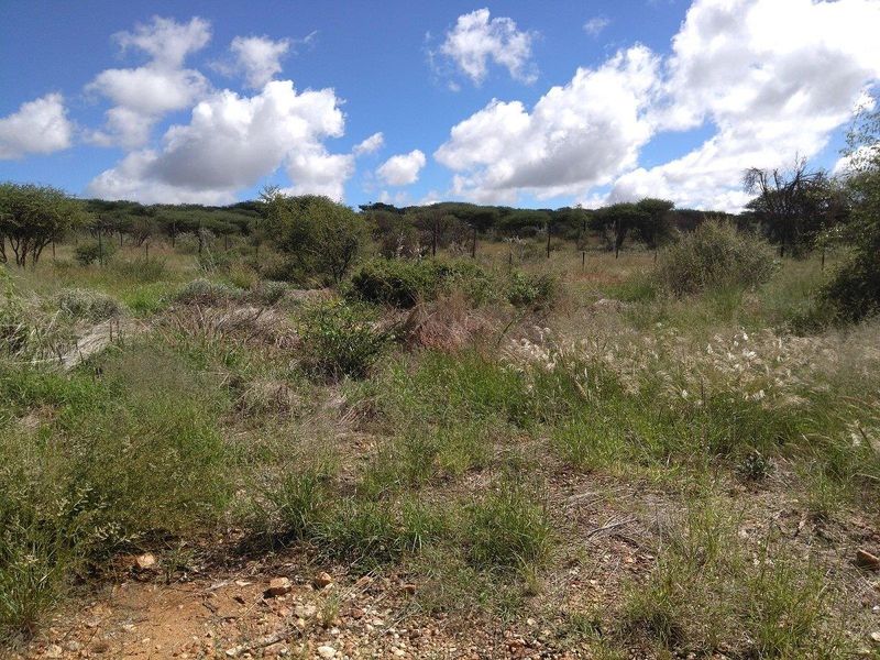 Scenic Vacant Land - Photo 9