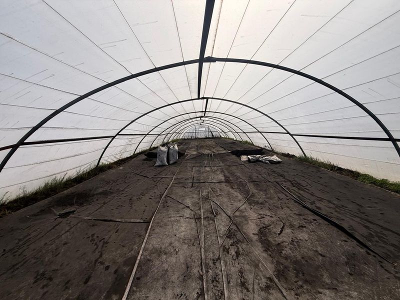 A large agricultural poly-tunnel structure featuring a metal frame, protective plastic sheeting, and integrated irrigation piping for farming operations.