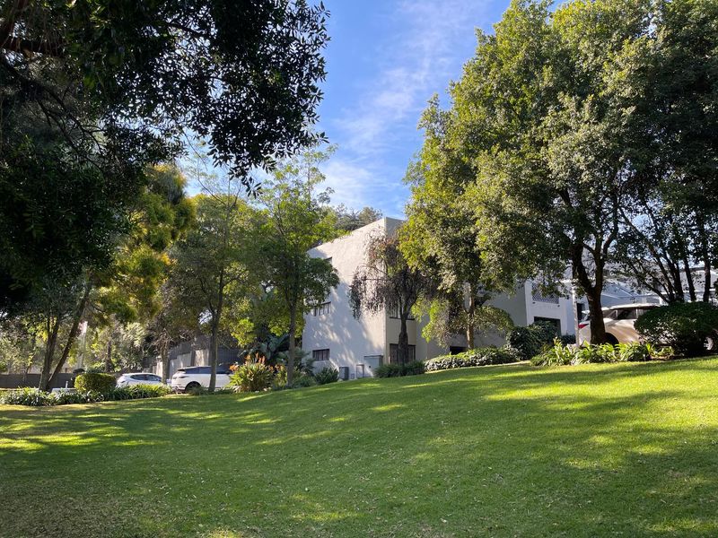 Morningside Hills Gem: Relax in Serenity - Photo 2