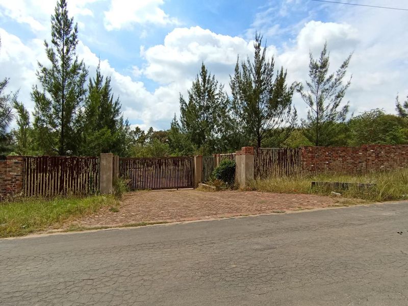 LARGE PLOT - Photo 3