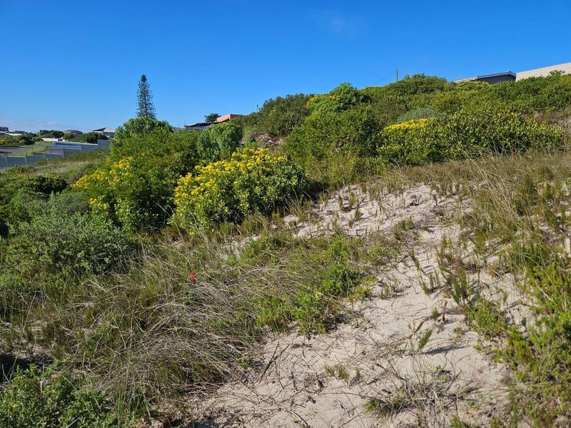 Close to Nature - Photo 8