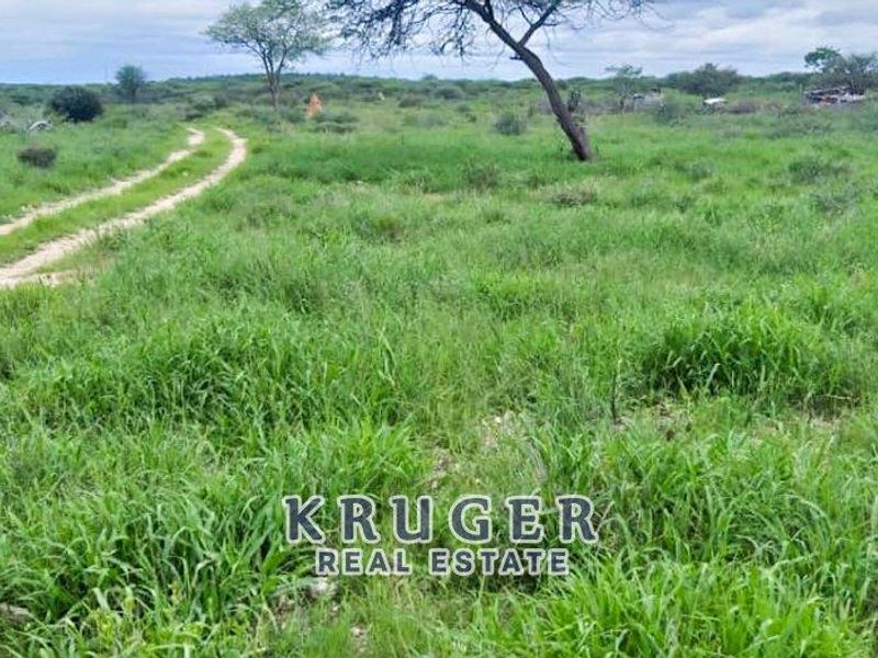 Plot outside Outjo - Photo 5