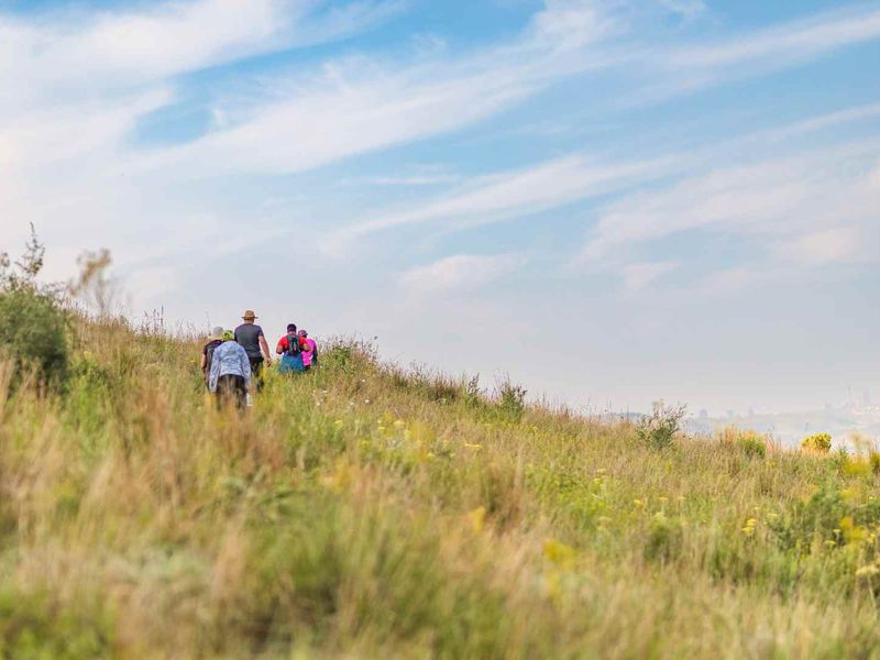 A Modern Oasis of Peace, Play, and Possibility - Photo 2