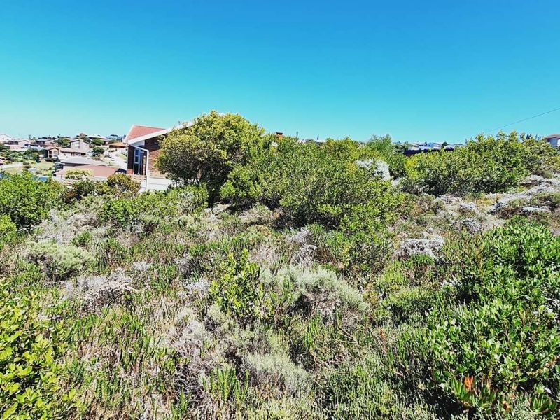 A view of a vacant residential plot featuring natural indigenous vegetation and surrounding neighborhood infrastructure.