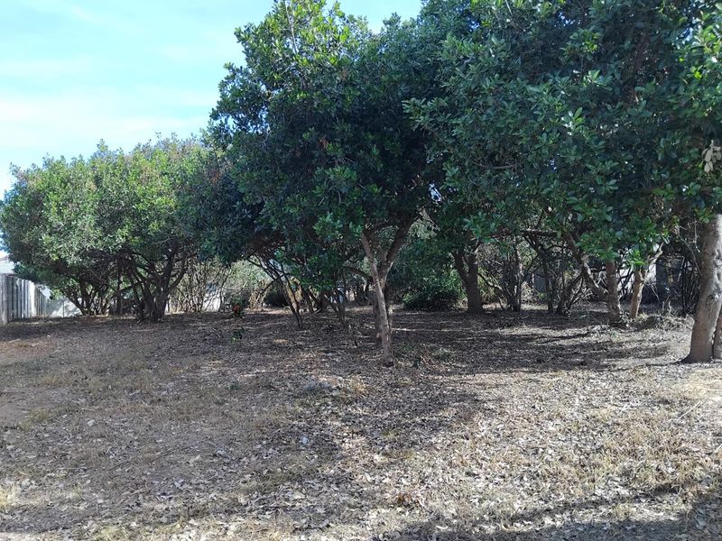 1088m2 Vacant Stand in Bergsig, Groot Brak Rivier. - Photo 6