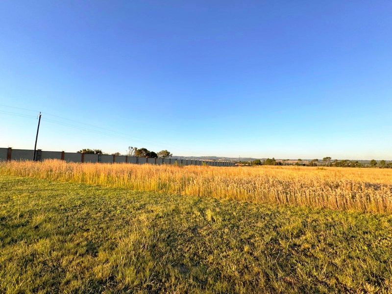 VACANT LAND FOR SALE IN ALLEWYNSPOORT - Photo 5