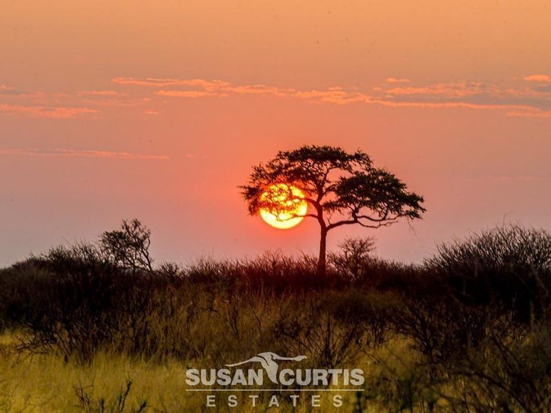 AGRICULTURAL AND GAME FARM - Photo 7