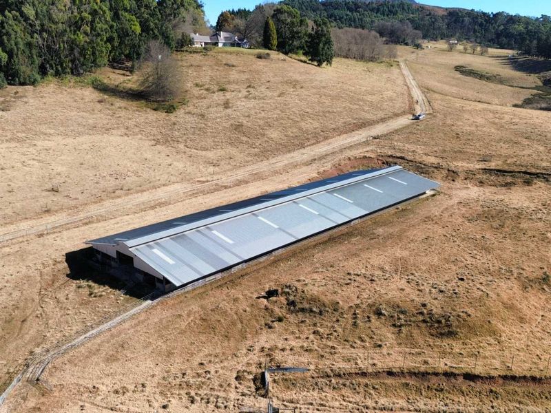Aerial view of a large agricultural shed with a corrugated metal roof situated on a rural farm property with surrounding grazing land.