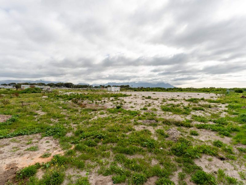 Unique 1000sqm Land for Sale – Perfect for Home or Business - Photo 5