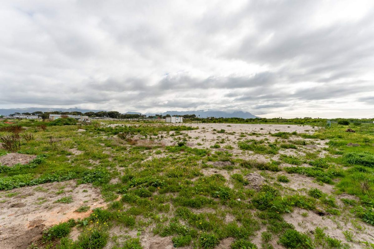 Unique 1000sqm Land for Sale – Perfect for Home or Business - Photo 5