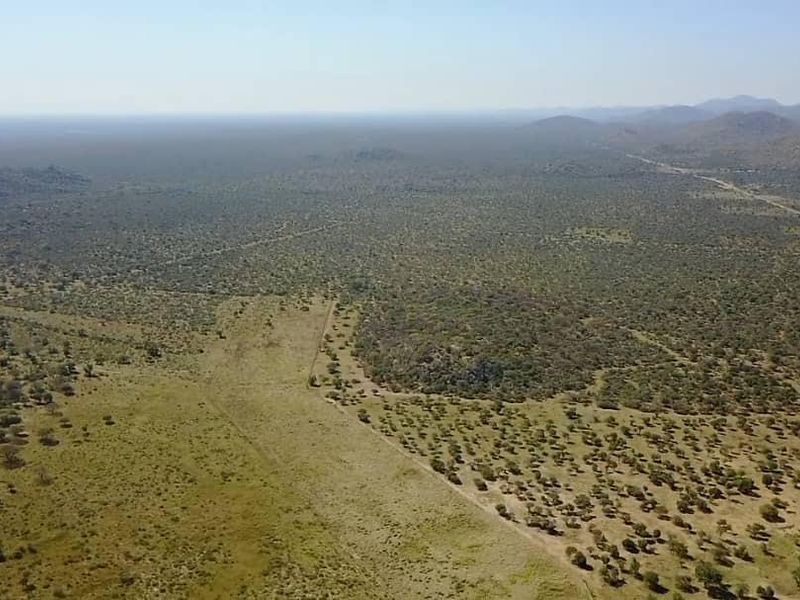 Game/Stock farm for sale Otavi Namibia - Photo 8