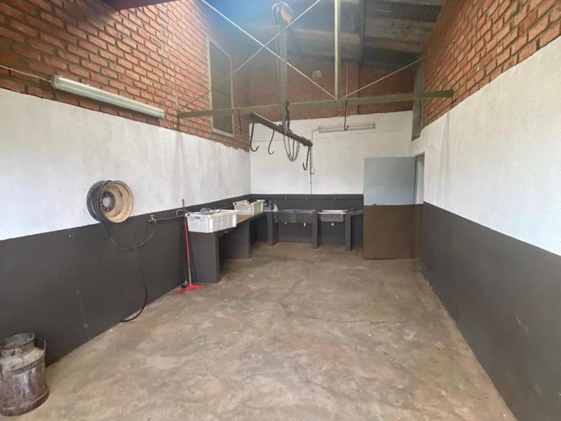 Magnificent Farm for Sale - Photo 10