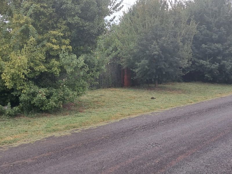 4064m2 Vacant Stand with Borehole, Municipal Water & 3-Phase Power in Henley on Klip - Photo 6
