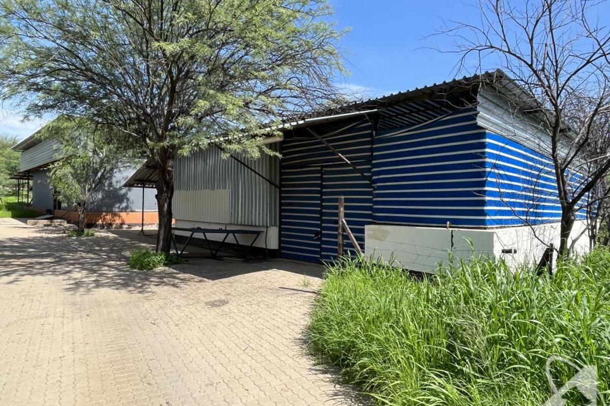 BRAKWATER SMALL HOLDING FOR SALE - Photo 5