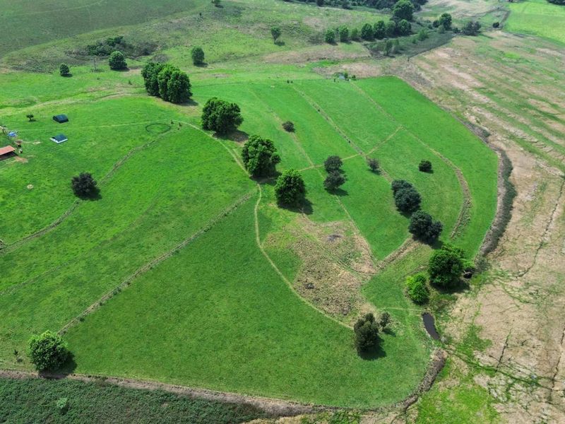 Aerial view of the expansive small holding property featuring open green pastures, established trees, and perimeter fencing.