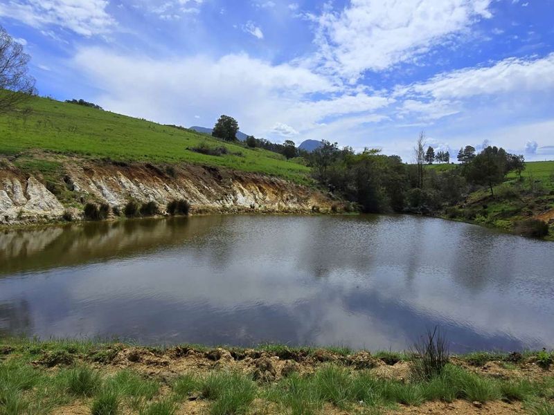 Spectacular Agricultural Opportunity in Ruiterbosch - Photo 8