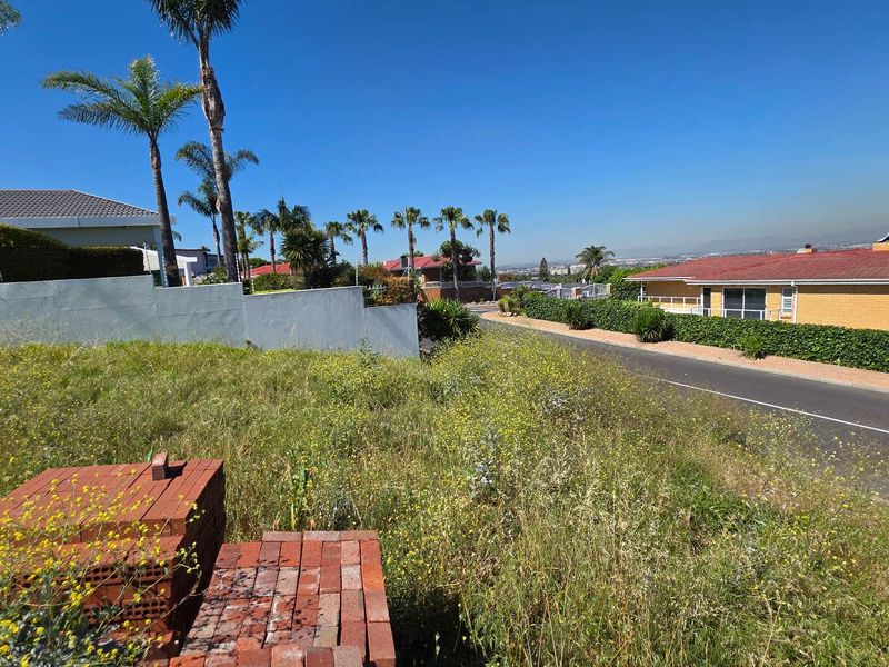 A street-level view of a vacant residential plot featuring a retaining wall, mature palm trees, and views of the surrounding neighborhood.