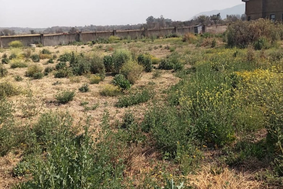 Build your dream house - Photo 5