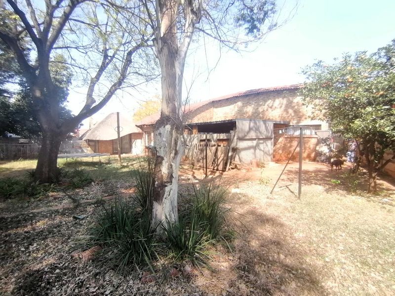 A view of the rear garden area featuring mature trees, a brick structure, and a thatched roof section.